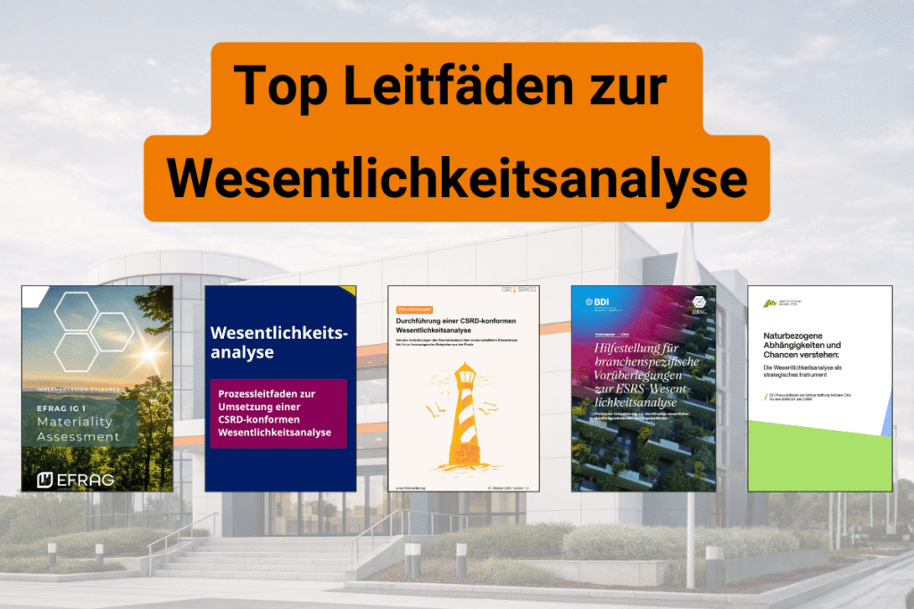 Leitfäden zur Durchführung der Wesentlichkeitsanalysen