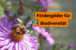 Förderungen und Förderprogramme im Bereich Biodiversität und Naturschutz in der Übersicht