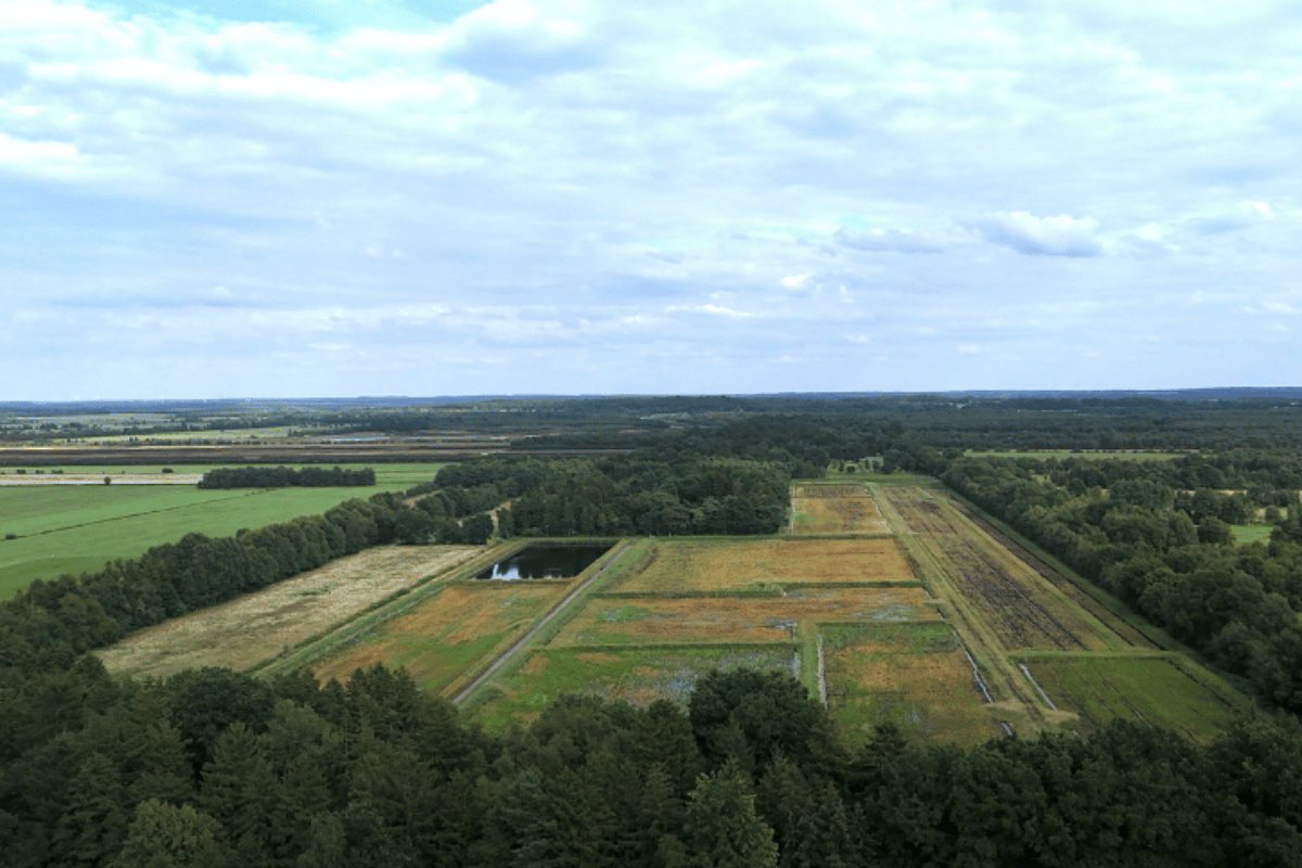Widervernässte Fläche von ZukunftMoor
