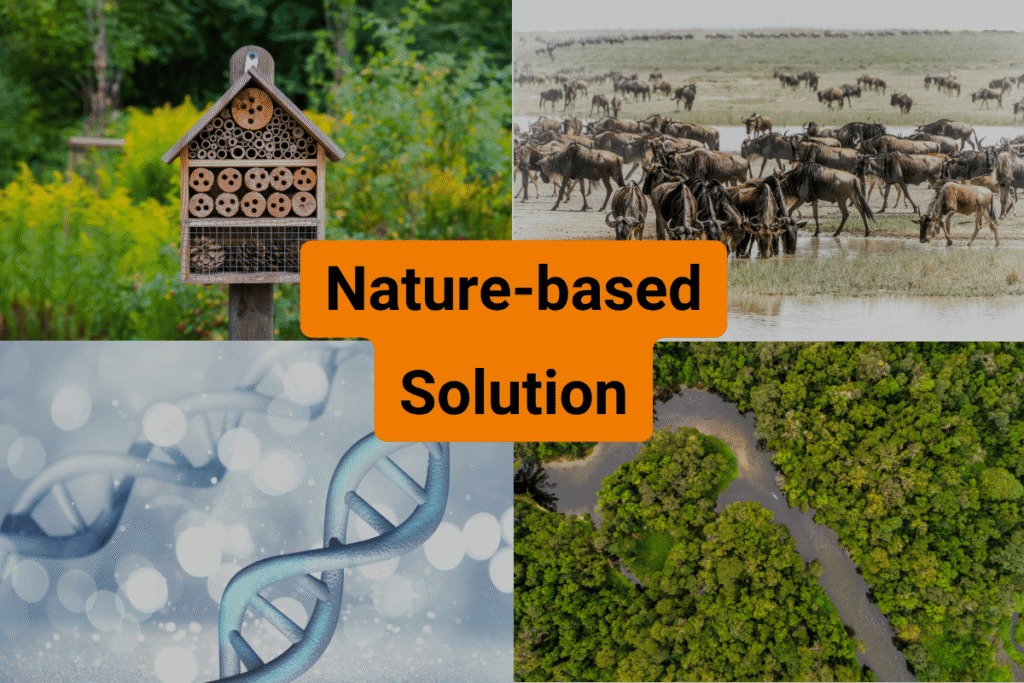 Wer unterstützt mich meine Biodiversitätsstrategie umzusetzen?