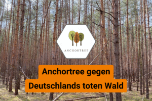 Anchortree setzt sich gegen das Waldsterben in Deutschland ein