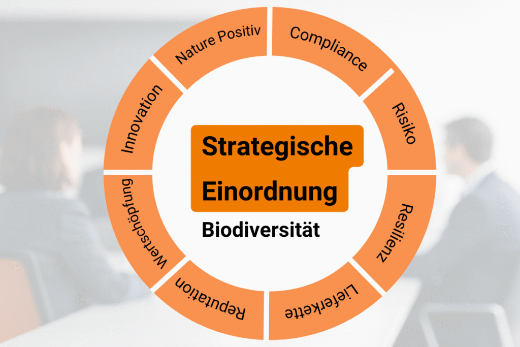 Relevanz der Biodiversitätsstrategie in Unternehmen einordnen
