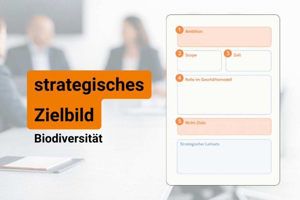 Wie entwickel ich ein Zielbild für unsere Biodiversitätsstrategie?
