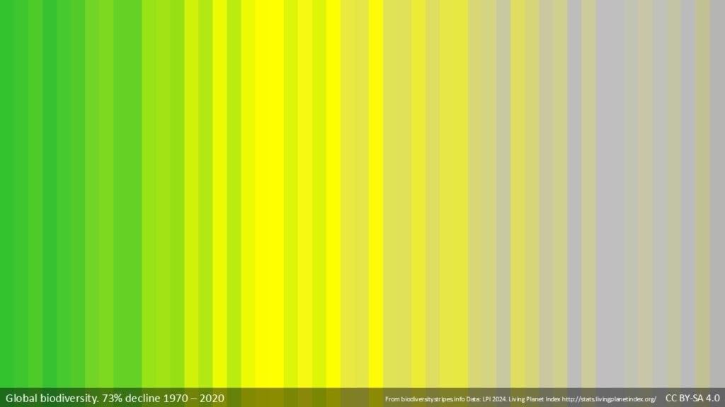 Auf dem Bild sieht man die globale Entwicklung der biologischen Vielfalt in Form von Biodiversity Stripes