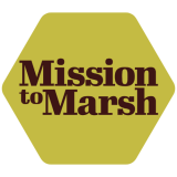 Logo Mission to Marsh 1