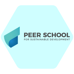 Logo Peer School
