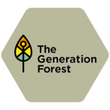 the-generation-forest